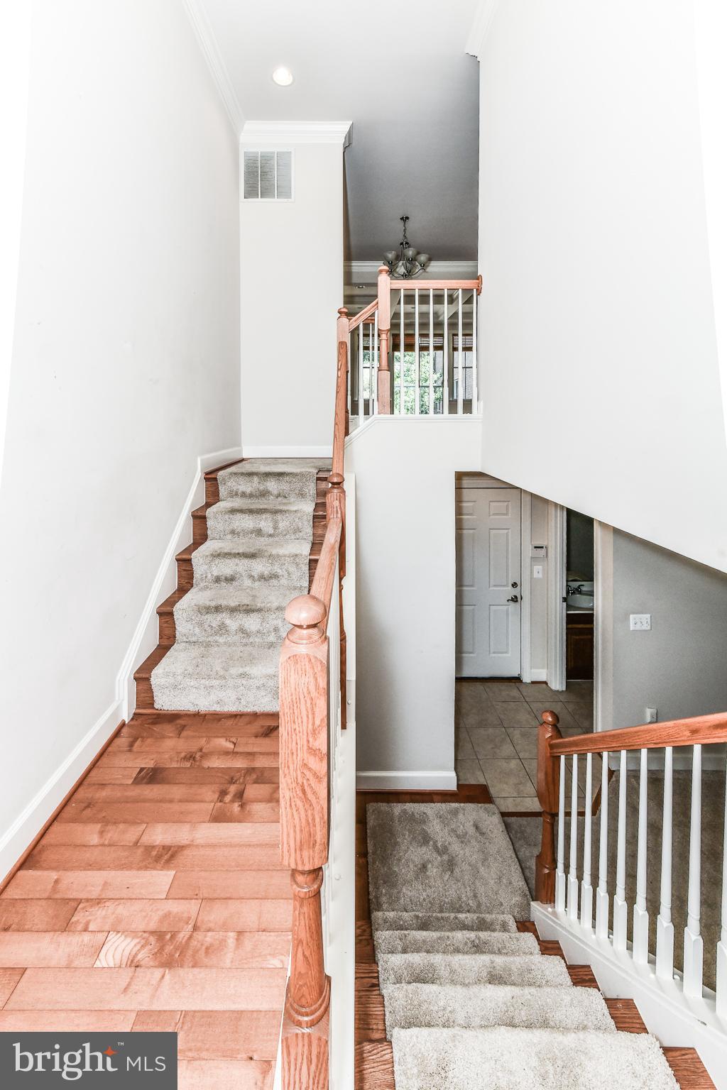 SHIRLINGTON CREST - Residential Lease