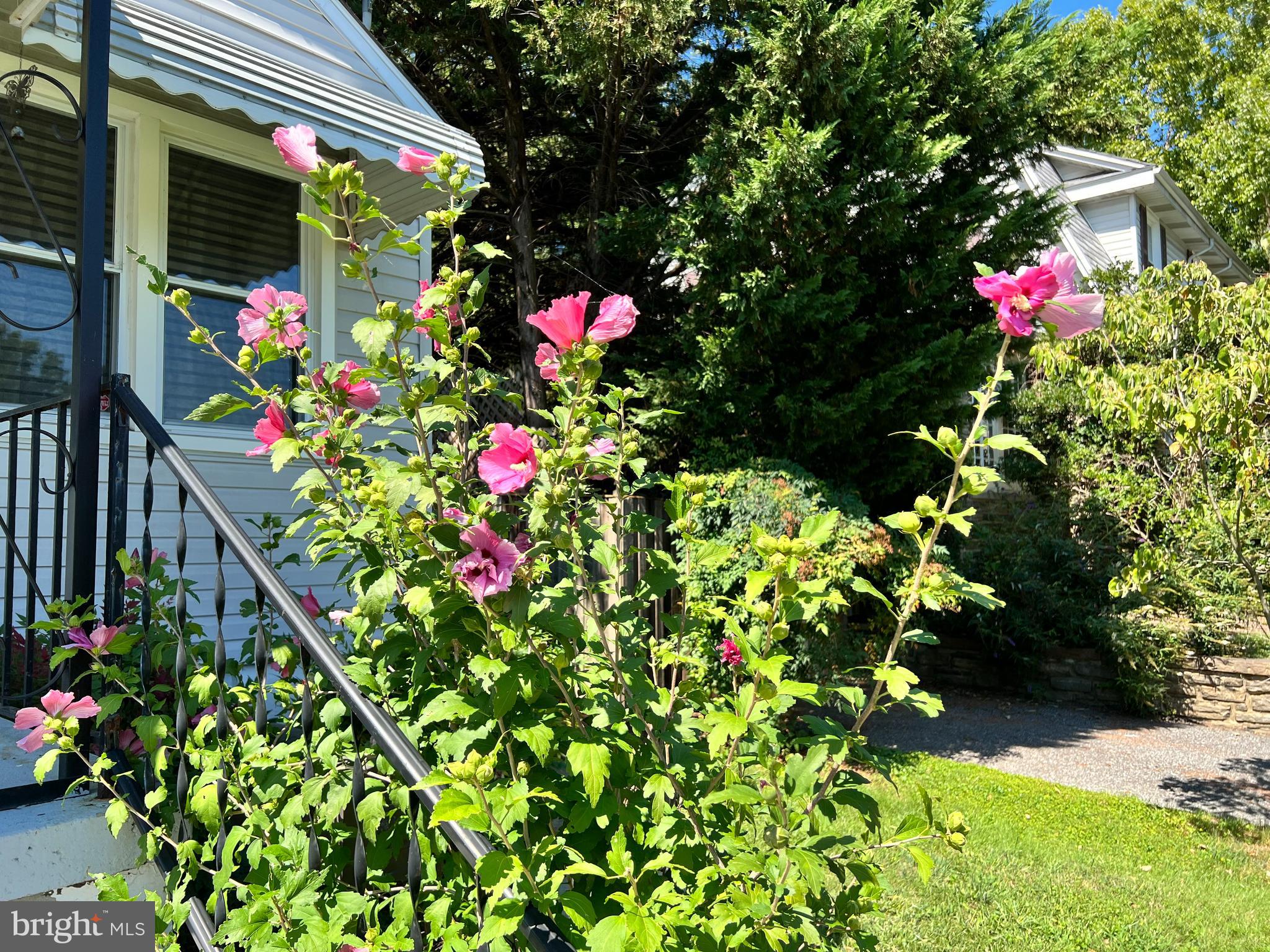 GLENHAM - BELFORD - Residential