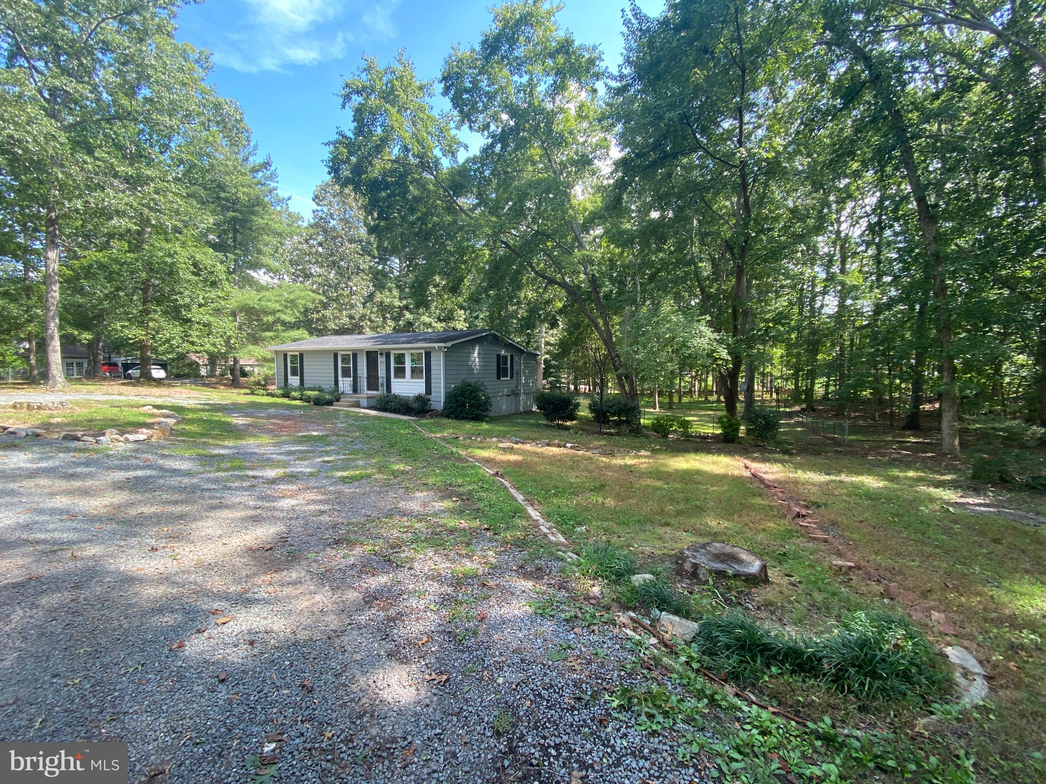 SHADE TREE - Residential