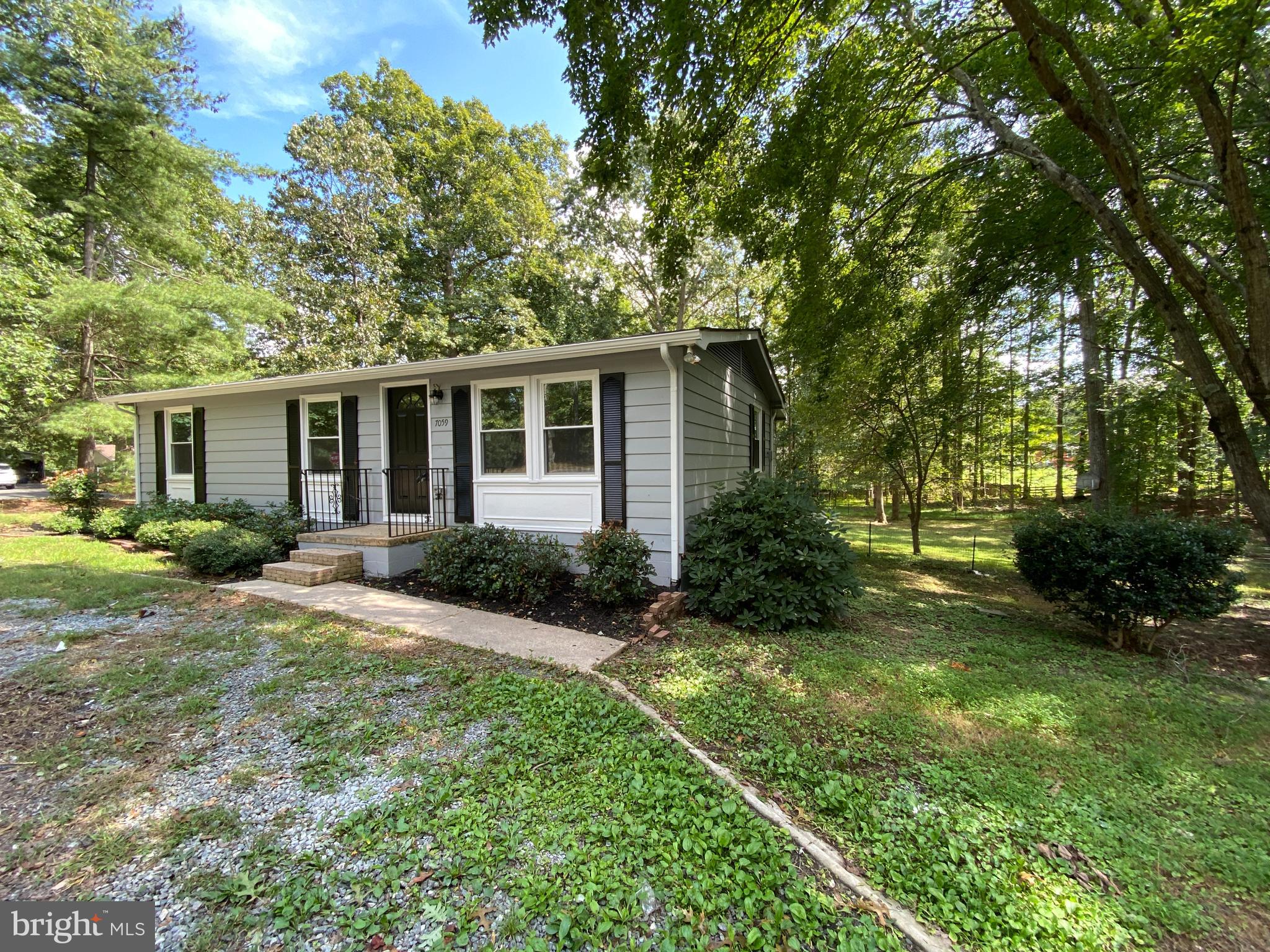 SHADE TREE - Residential