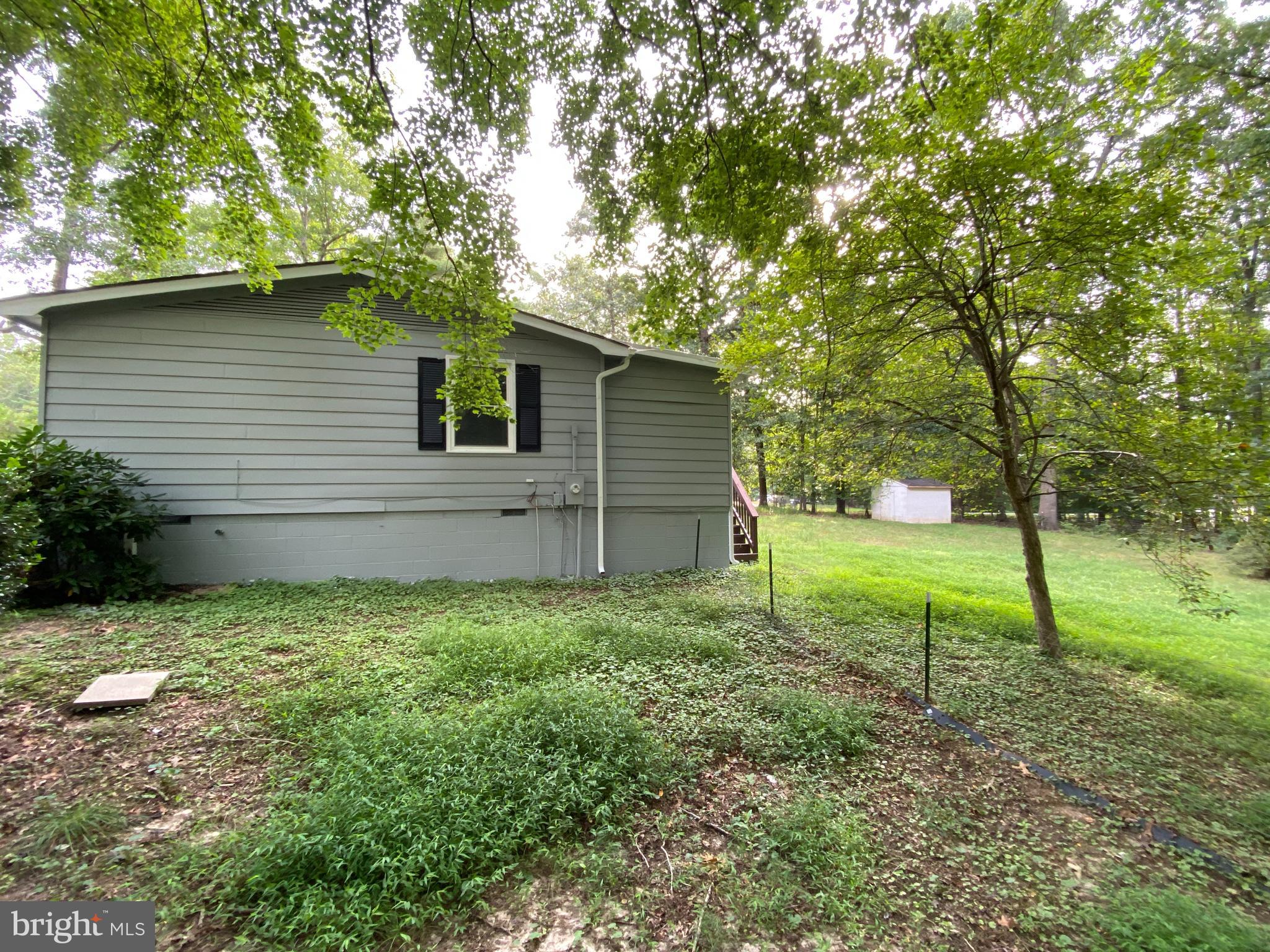 SHADE TREE - Residential