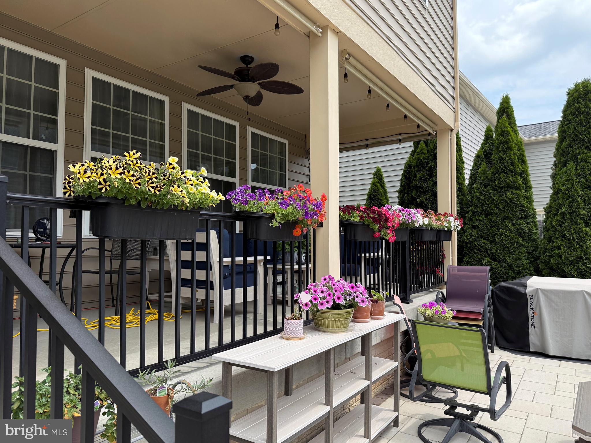 LINTON AT BALLENGER - Residential