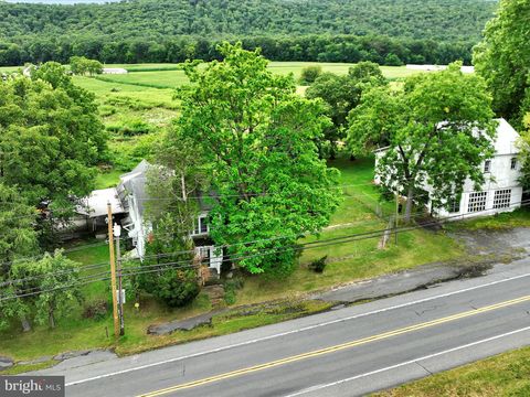 4456 ROUTE 209 ELIZABETHVILLE PA 17023