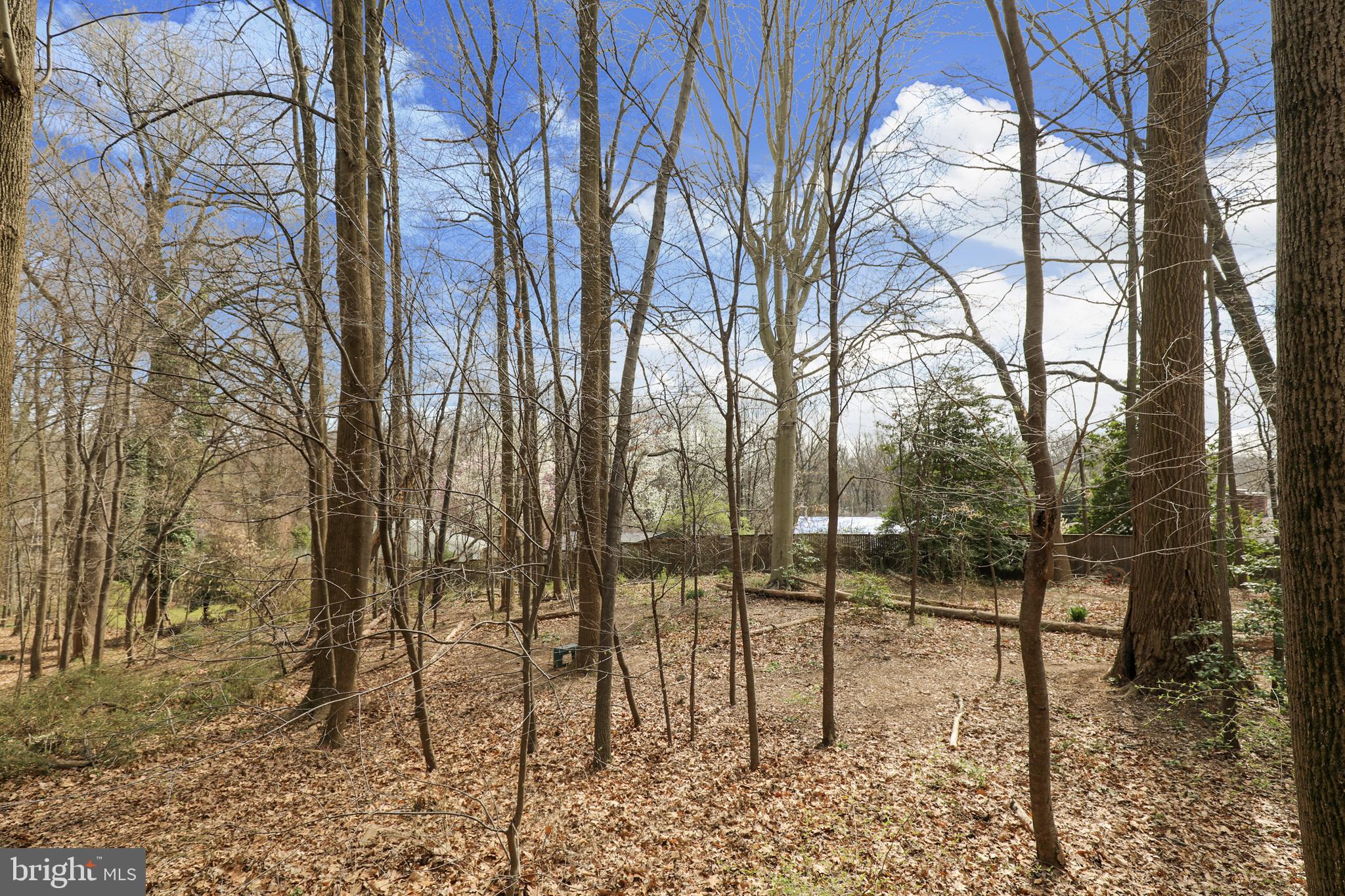 SADDLE RIDGE CODM - Residential Lease