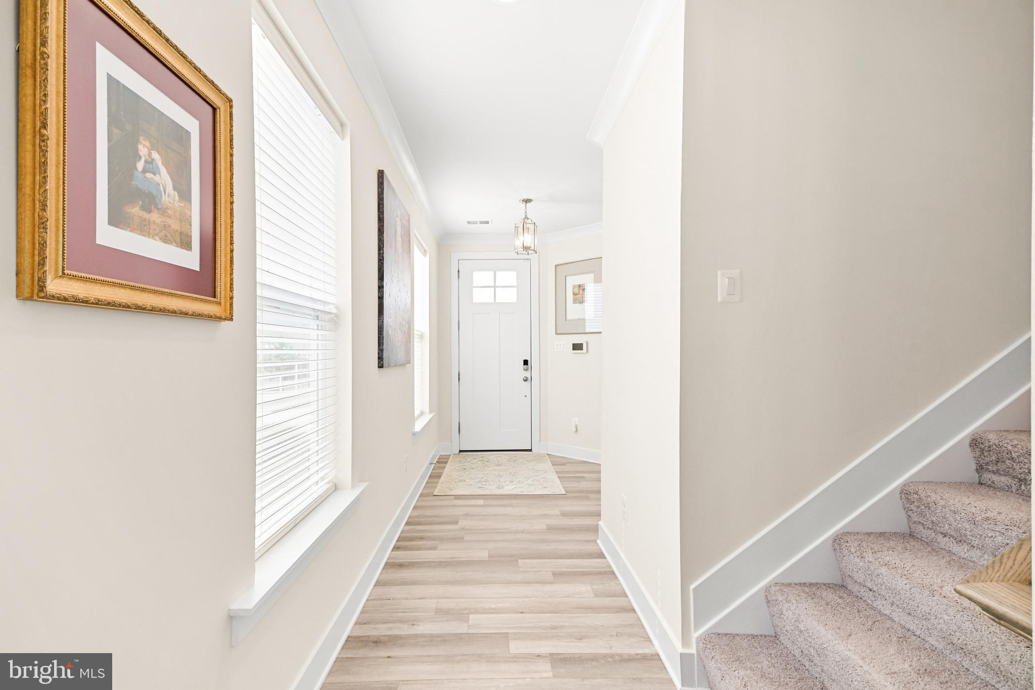 19 BROOMSEDGE LANE