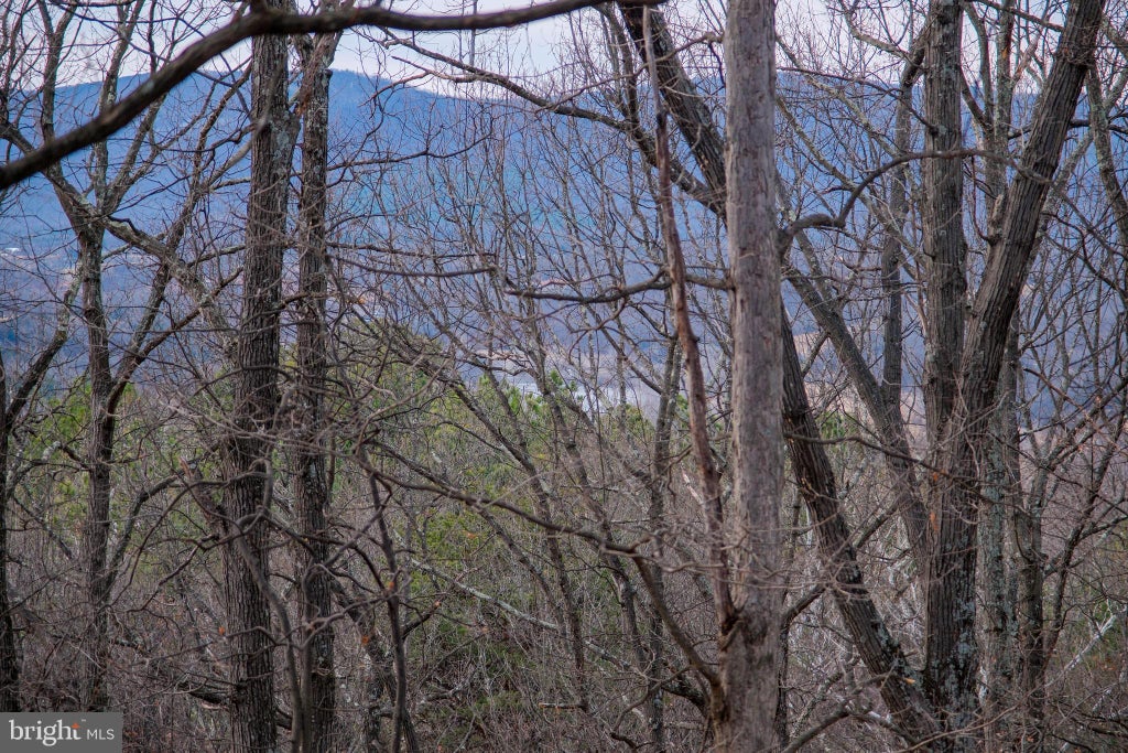 Photo of 143 Cardinal Wind Drive, FRONT ROYAL, VA 22630 (MLS # VAWR2013132)