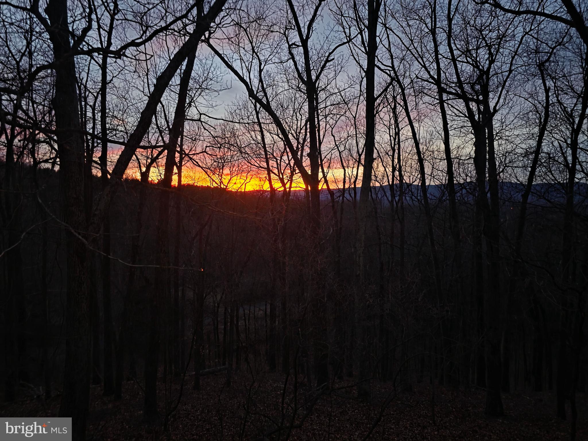 143 CARDINAL WIND DRIVE