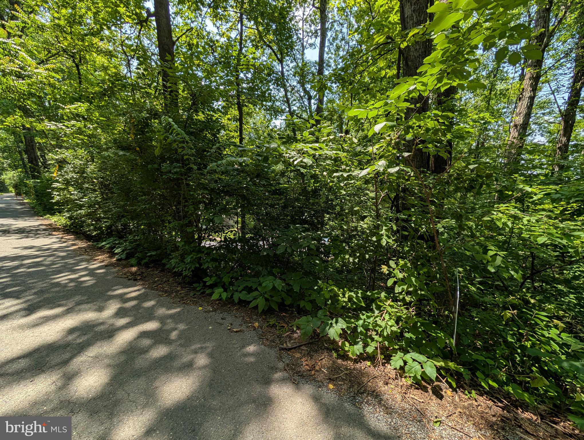 Lot 104 SUMMIT POINT DRIVE