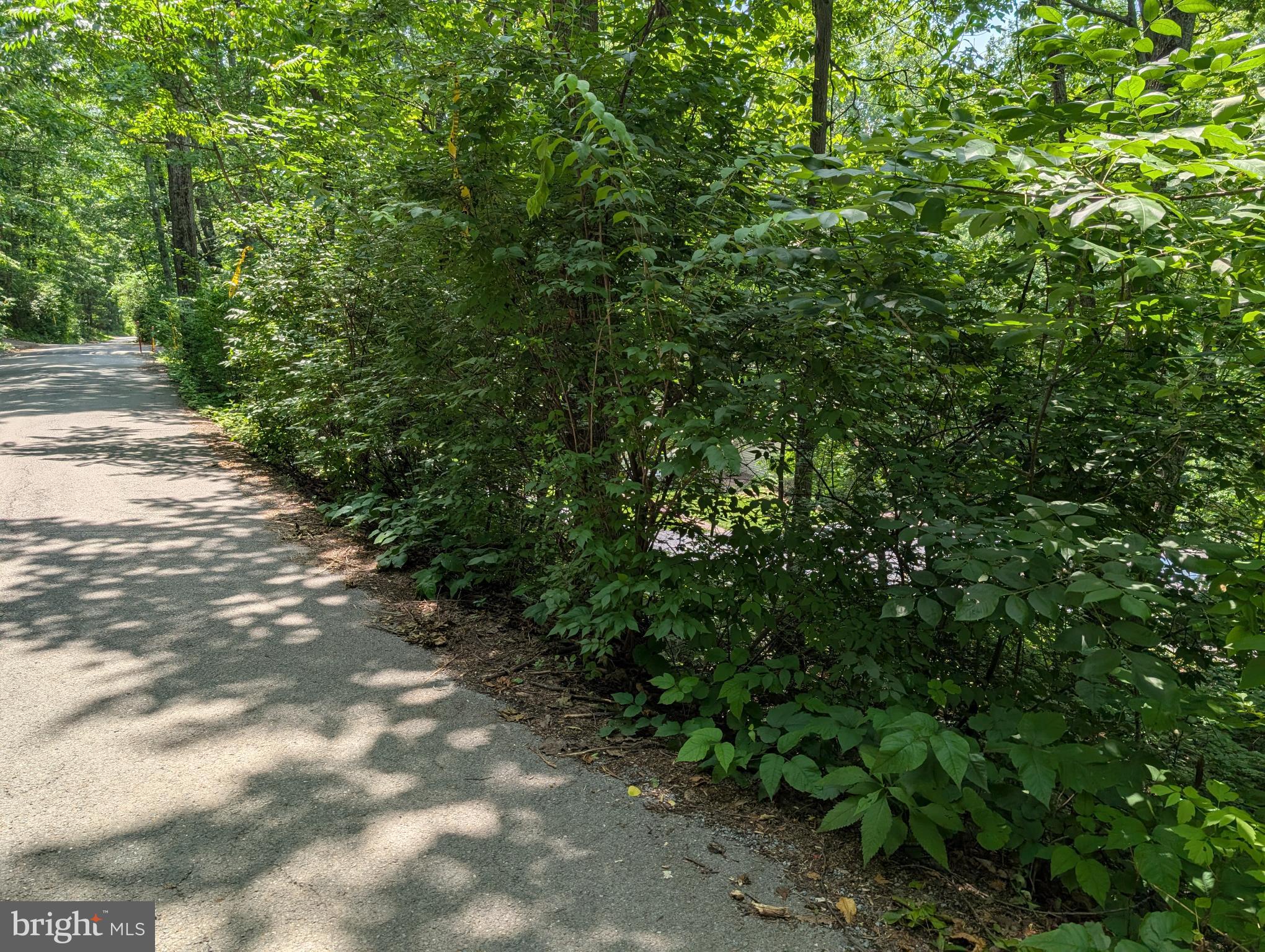 Lot 104 SUMMIT POINT DRIVE