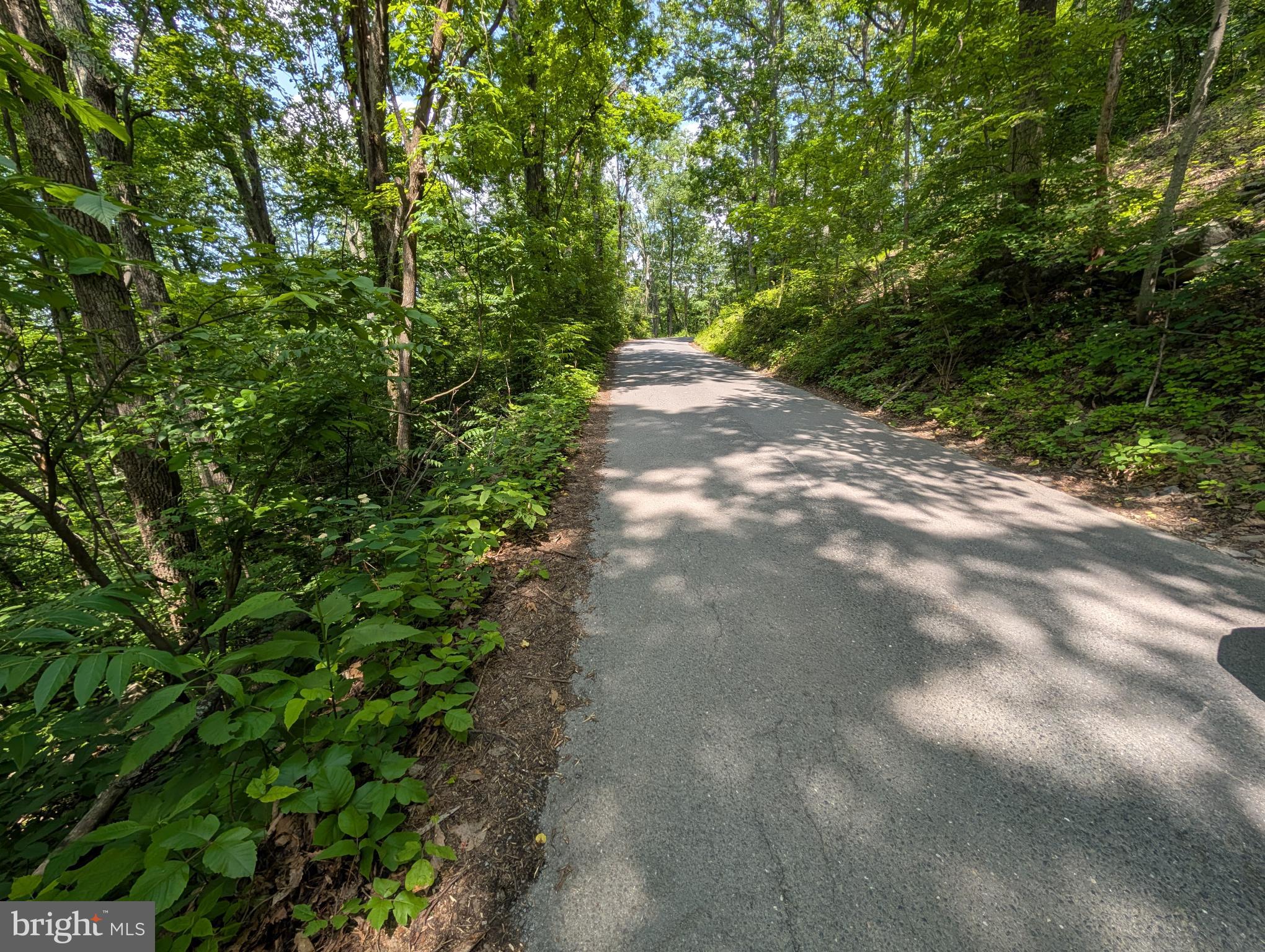 Lot 104 SUMMIT POINT DRIVE