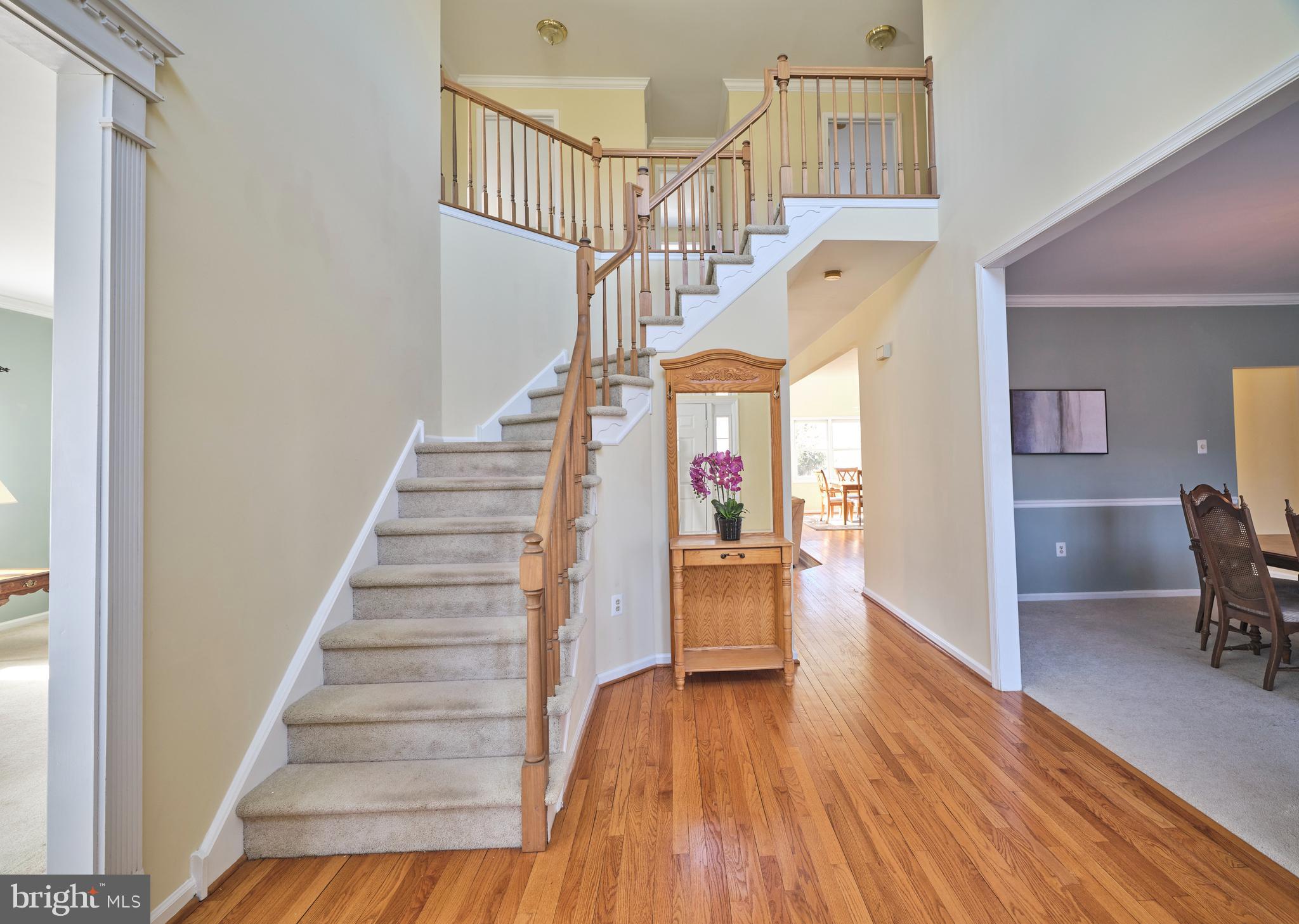 DOYLESTOWN LEA - Residential