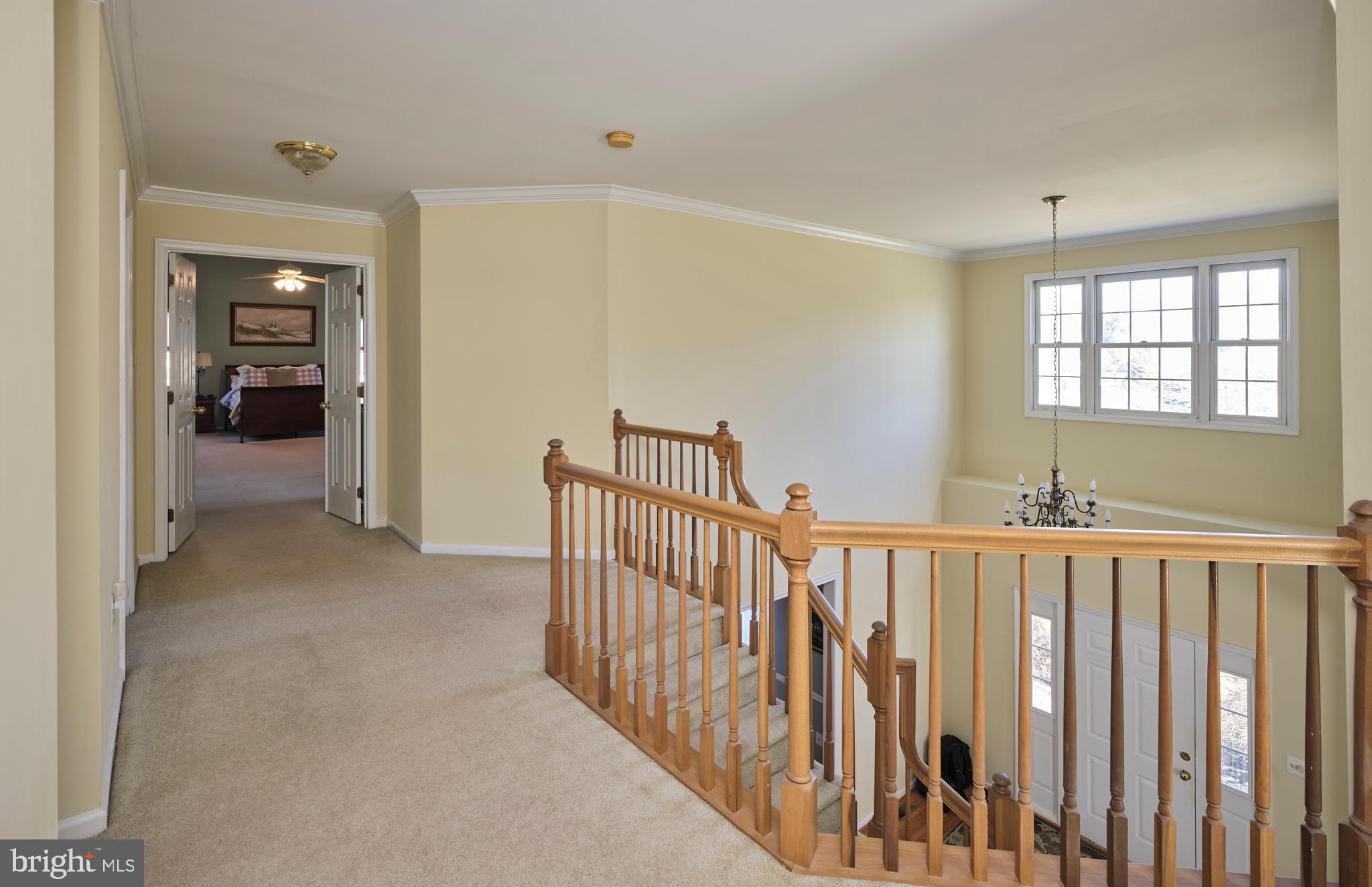 DOYLESTOWN LEA - Residential