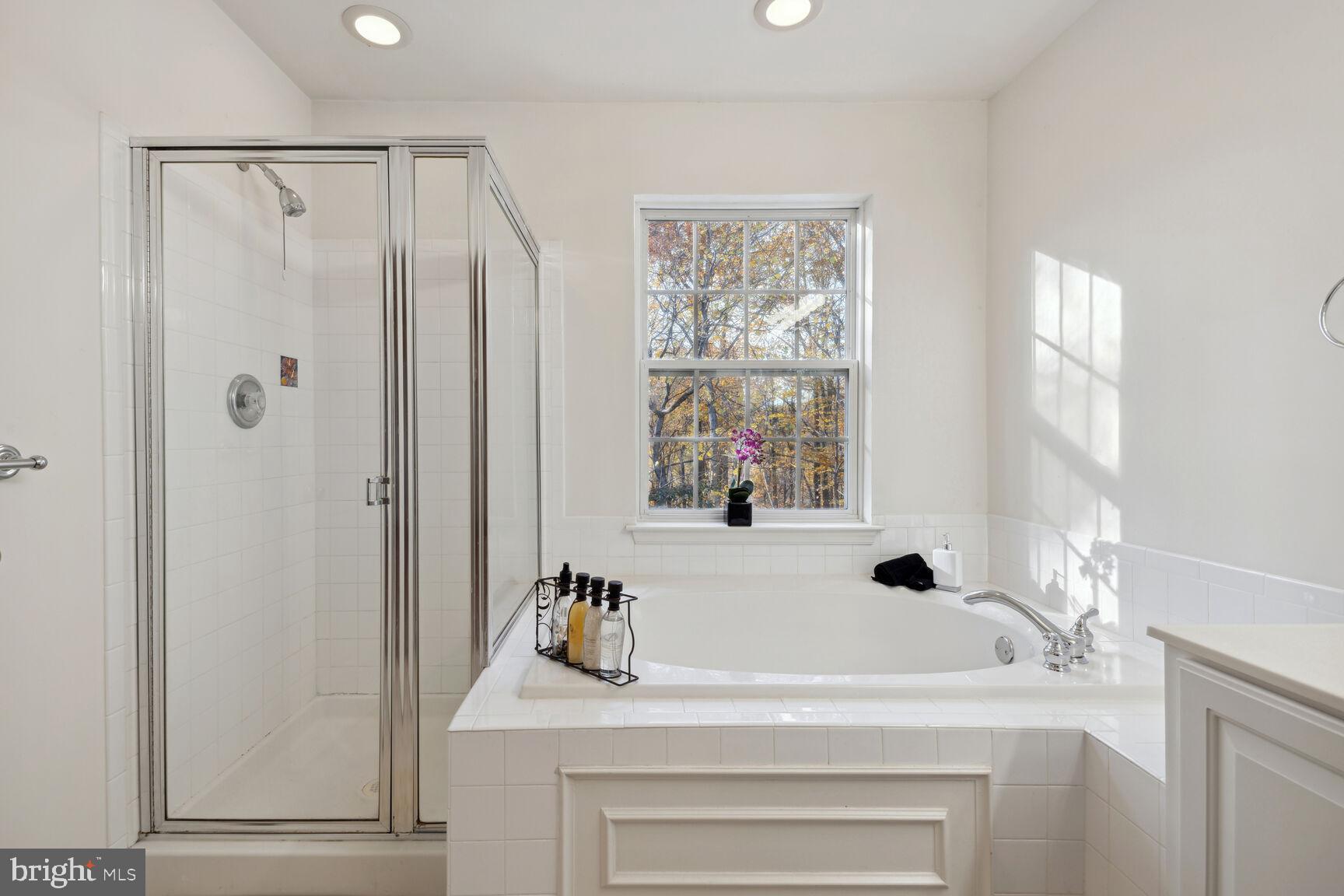 VISTAS AT MILESTONE - Residential