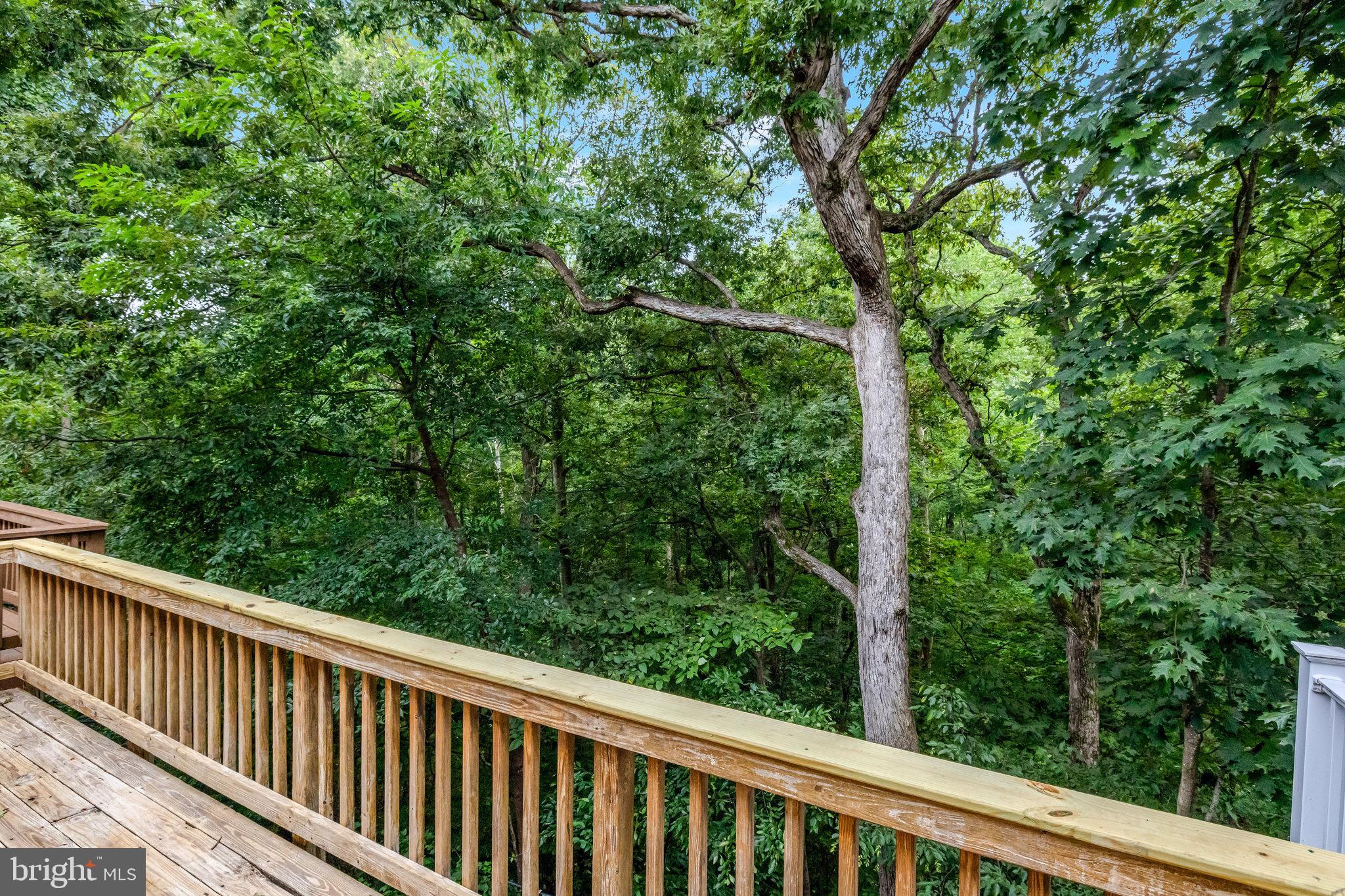 GREAT FALLS CHASE - Residential Lease