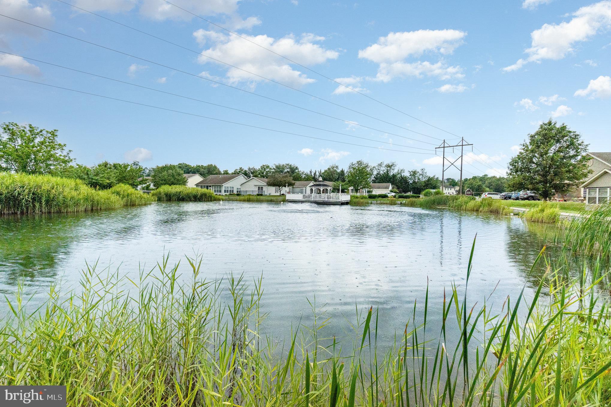 COUNTRY MANOR - Residential