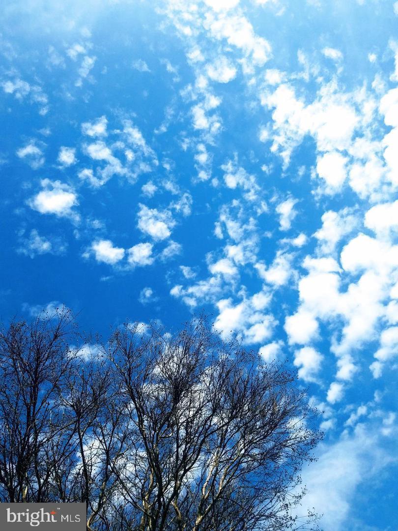 PENNSPORT - Residential Lease