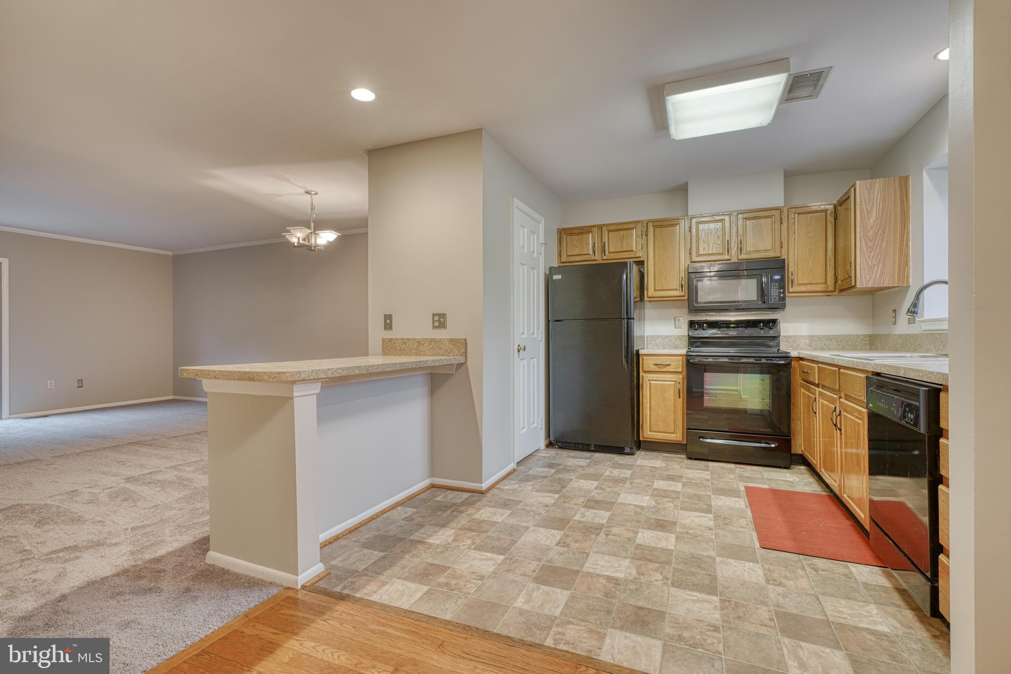 SILVER SPRING STATION - Residential