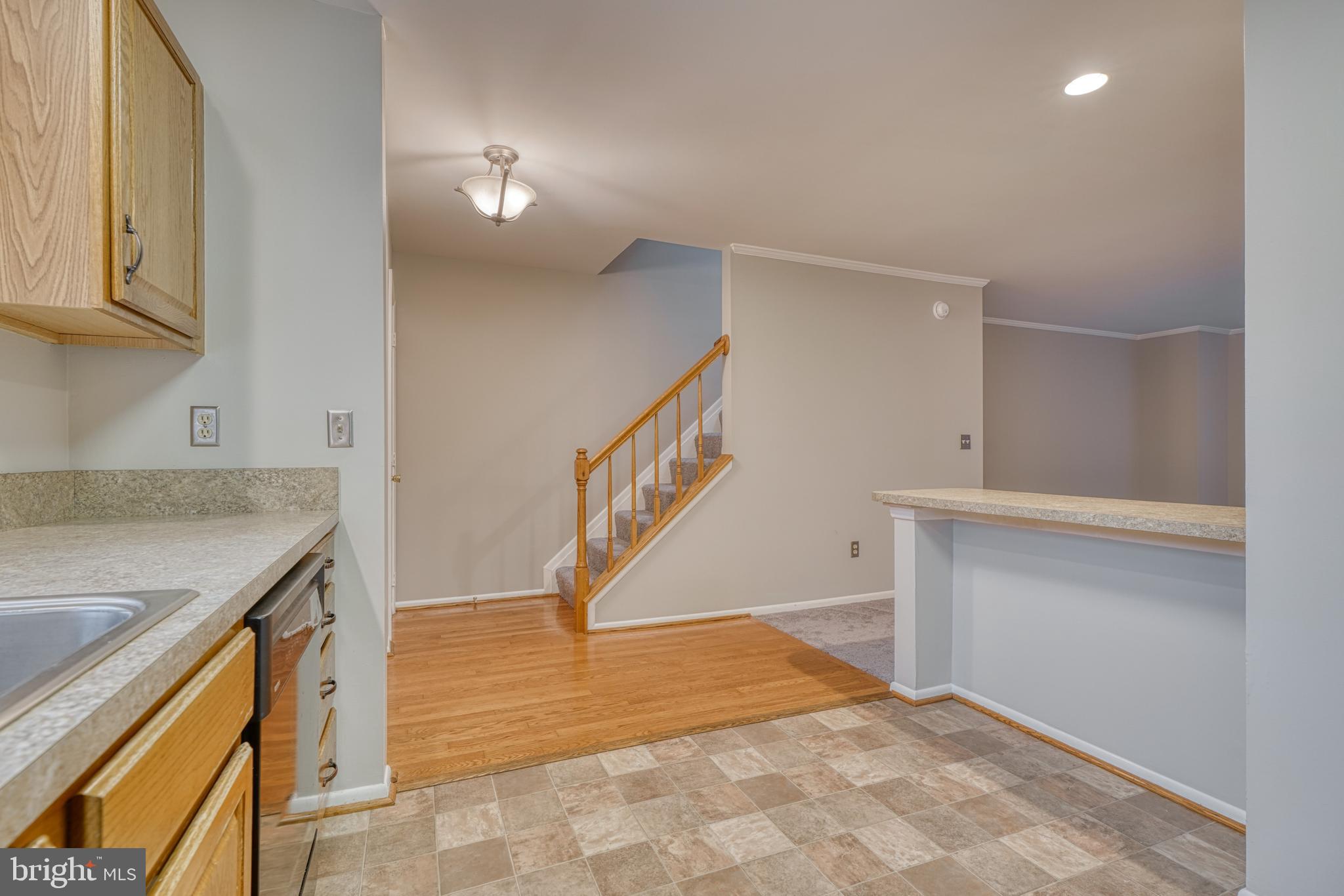 SILVER SPRING STATION - Residential