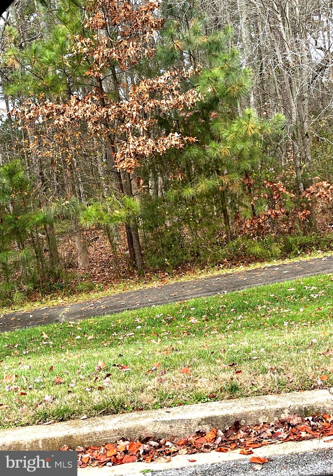 CHADDSFORD - Residential