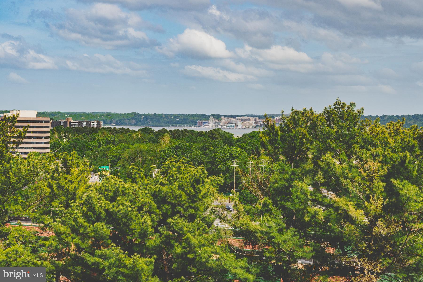 HUNTINGTON CLUB - Residential