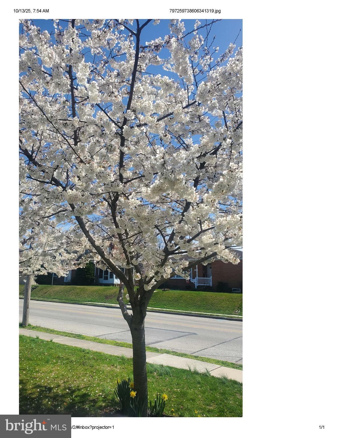 MCSHERRYSTOWN - Residential