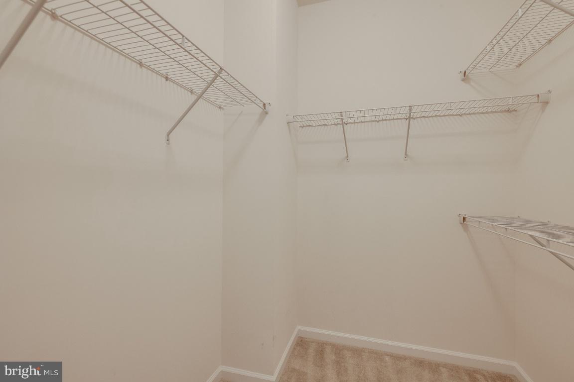 BEECH TREE EAST VILLAGE - Residential Lease