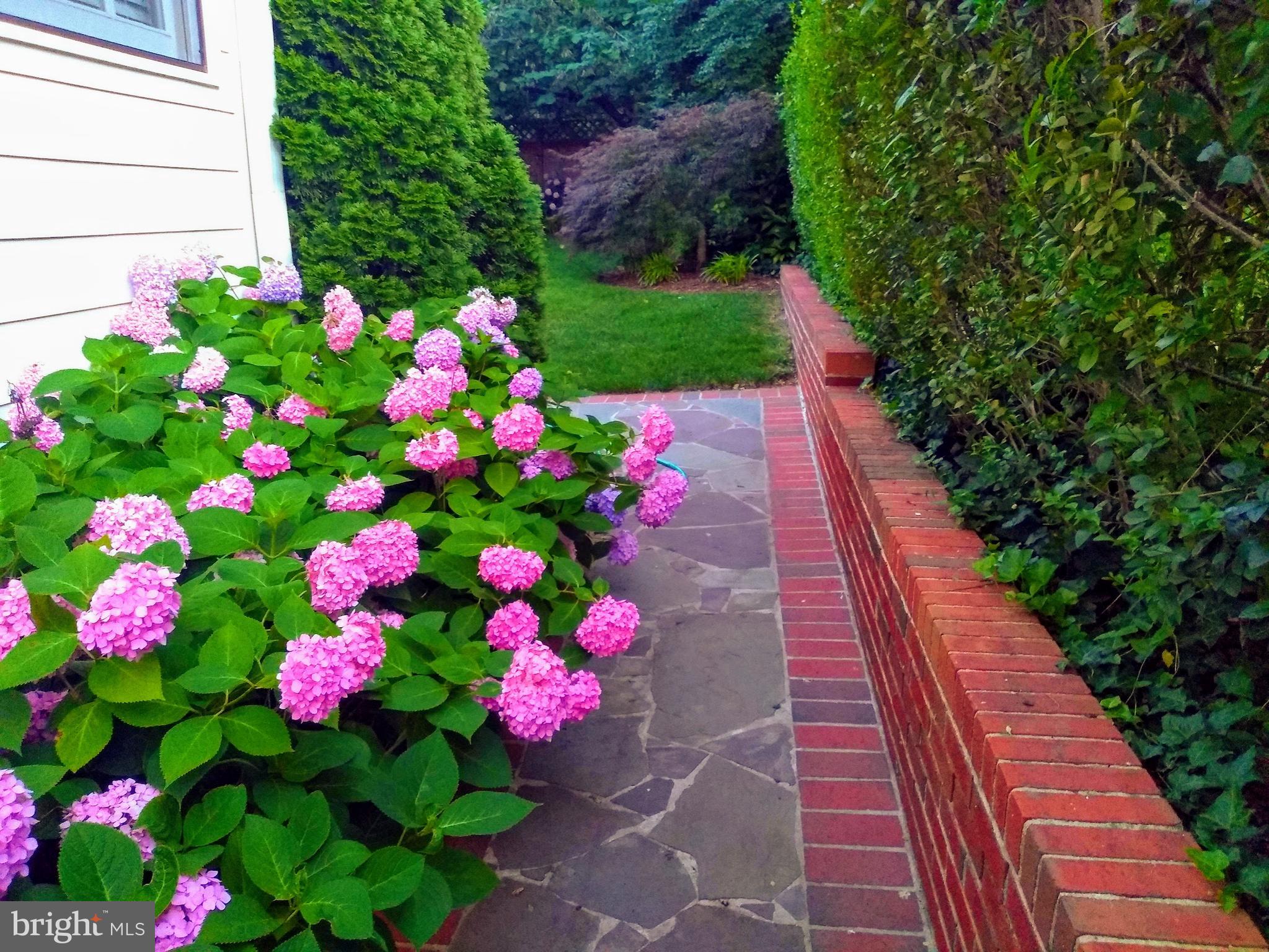 ROSEMONT PARK - Residential Lease