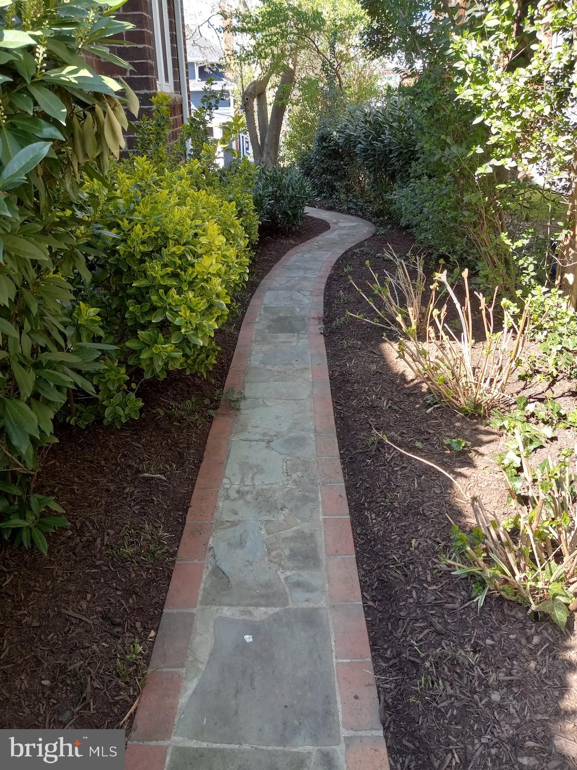 ROSEMONT PARK - Residential Lease