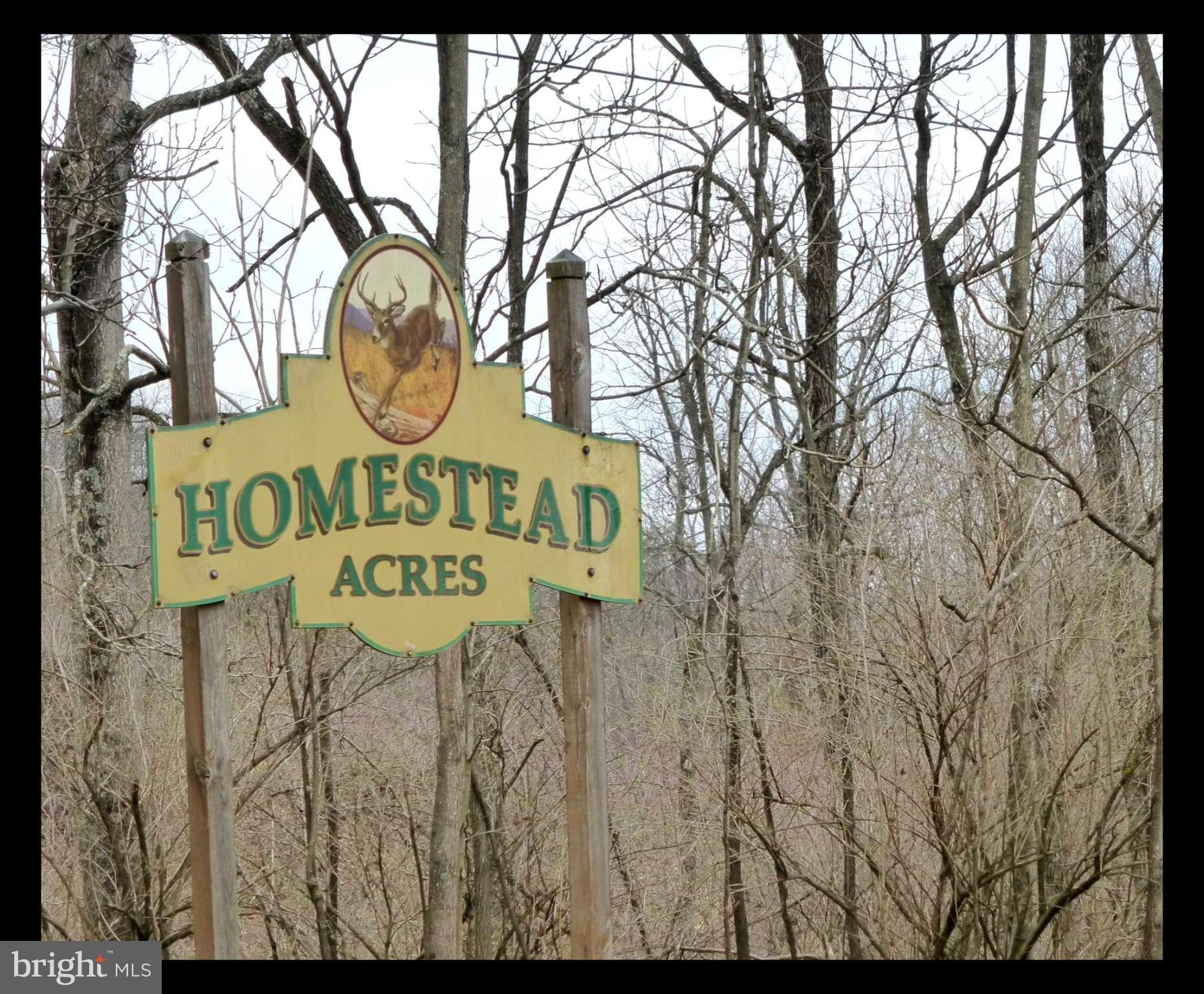 HOMESTEAD ACRES - Residential