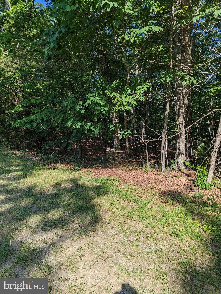 Welcome to Royal View Estates! Beautiful Wooded building lot consisting of 1.32 Acres! Great mountain views. Perfect place to build your dream home and enjoy the wilderness! One of two lots available. Please refer to MLS# VAWR2005856 to see the adjoining lot!