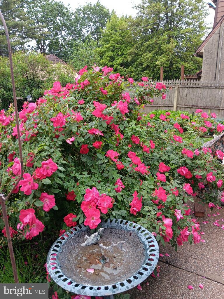 LOGAN SQ - Residential