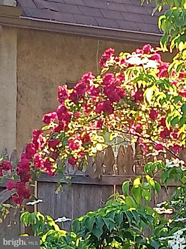 LOGAN SQ - Residential