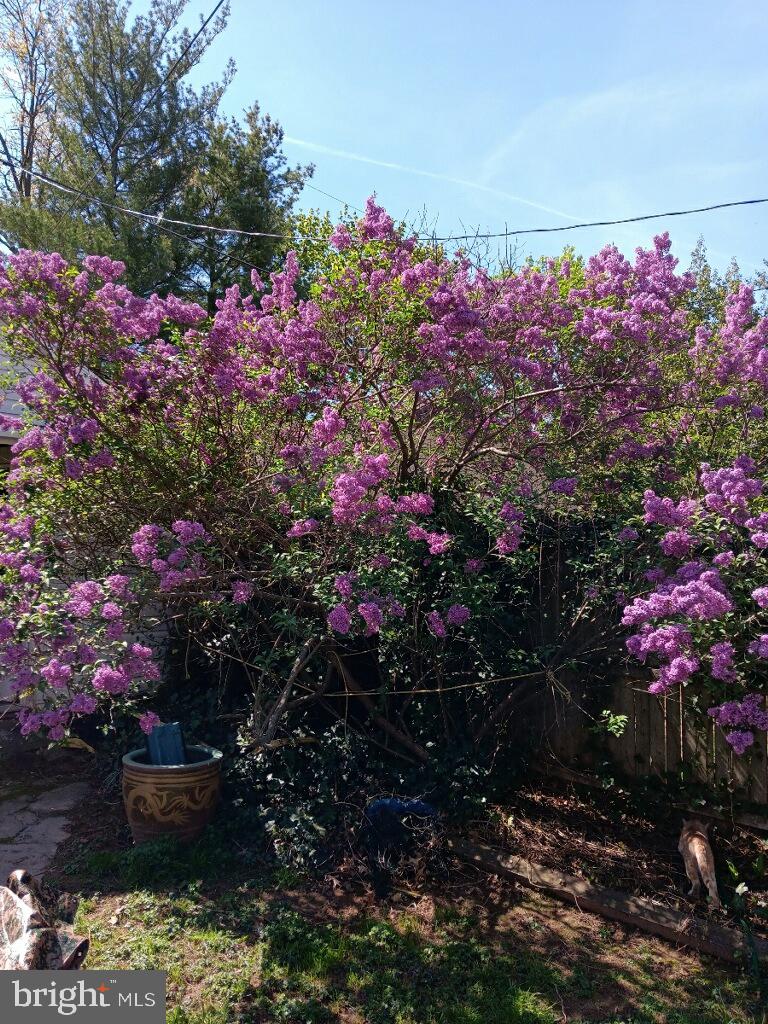 LOGAN SQ - Residential