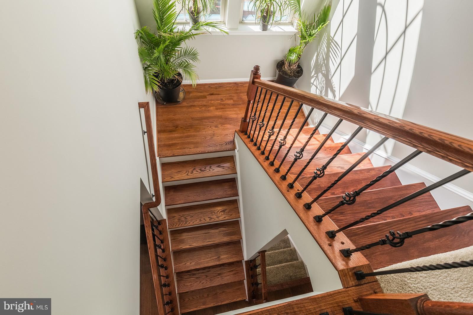 MAY'S QUARTER - Residential