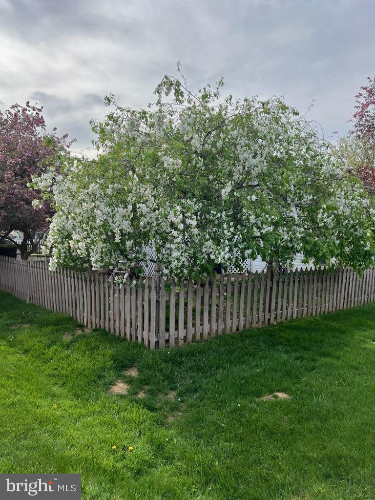 TREEMONT - Residential