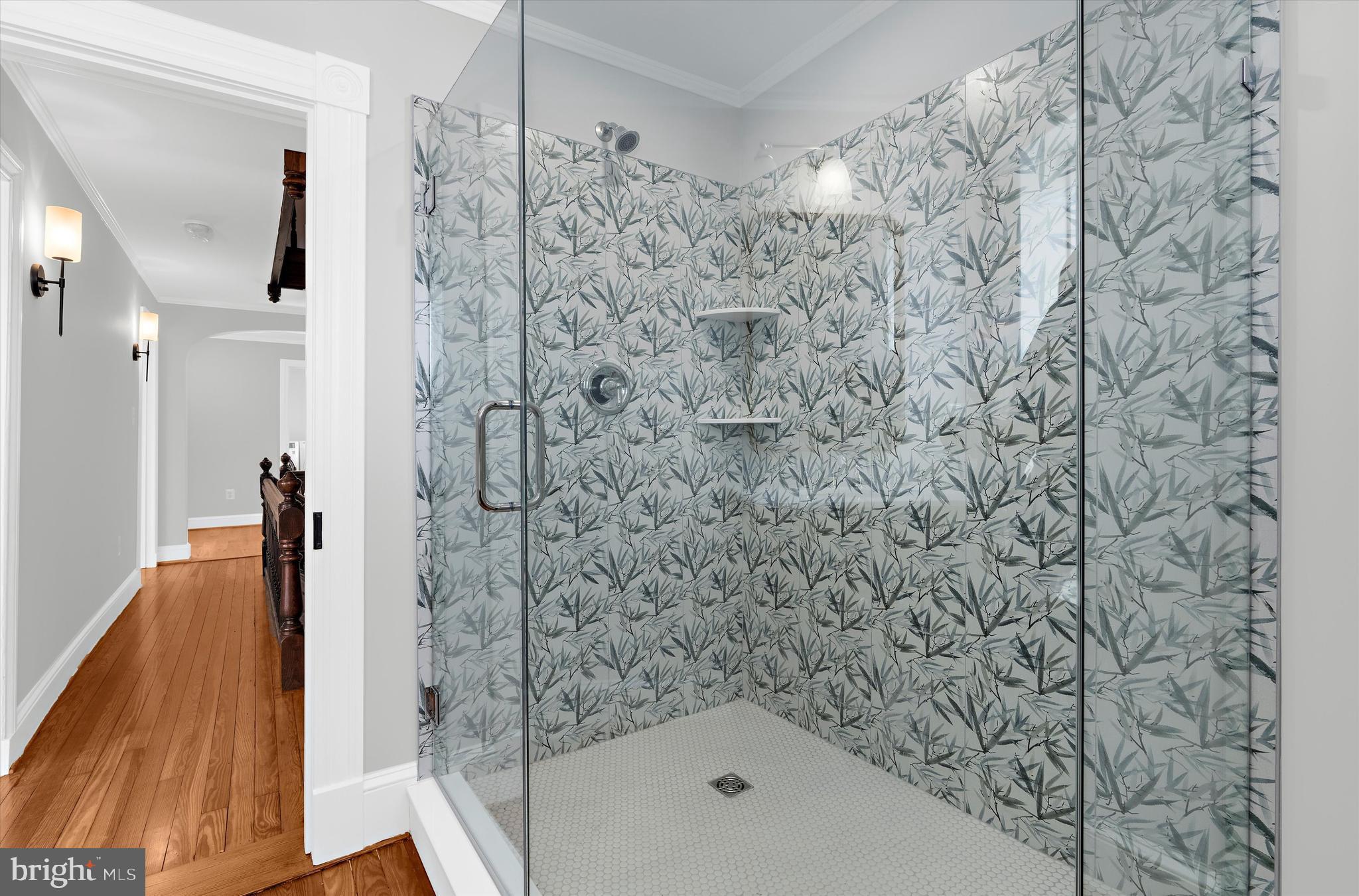 CHESTERTOWN HISTORIC DISTRICT - Residential