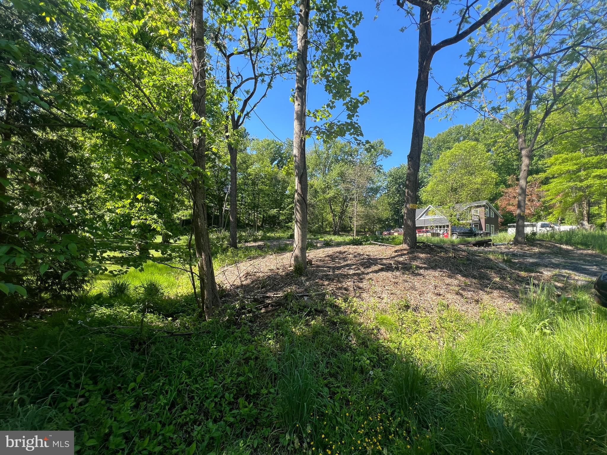7 FAWN TRAIL