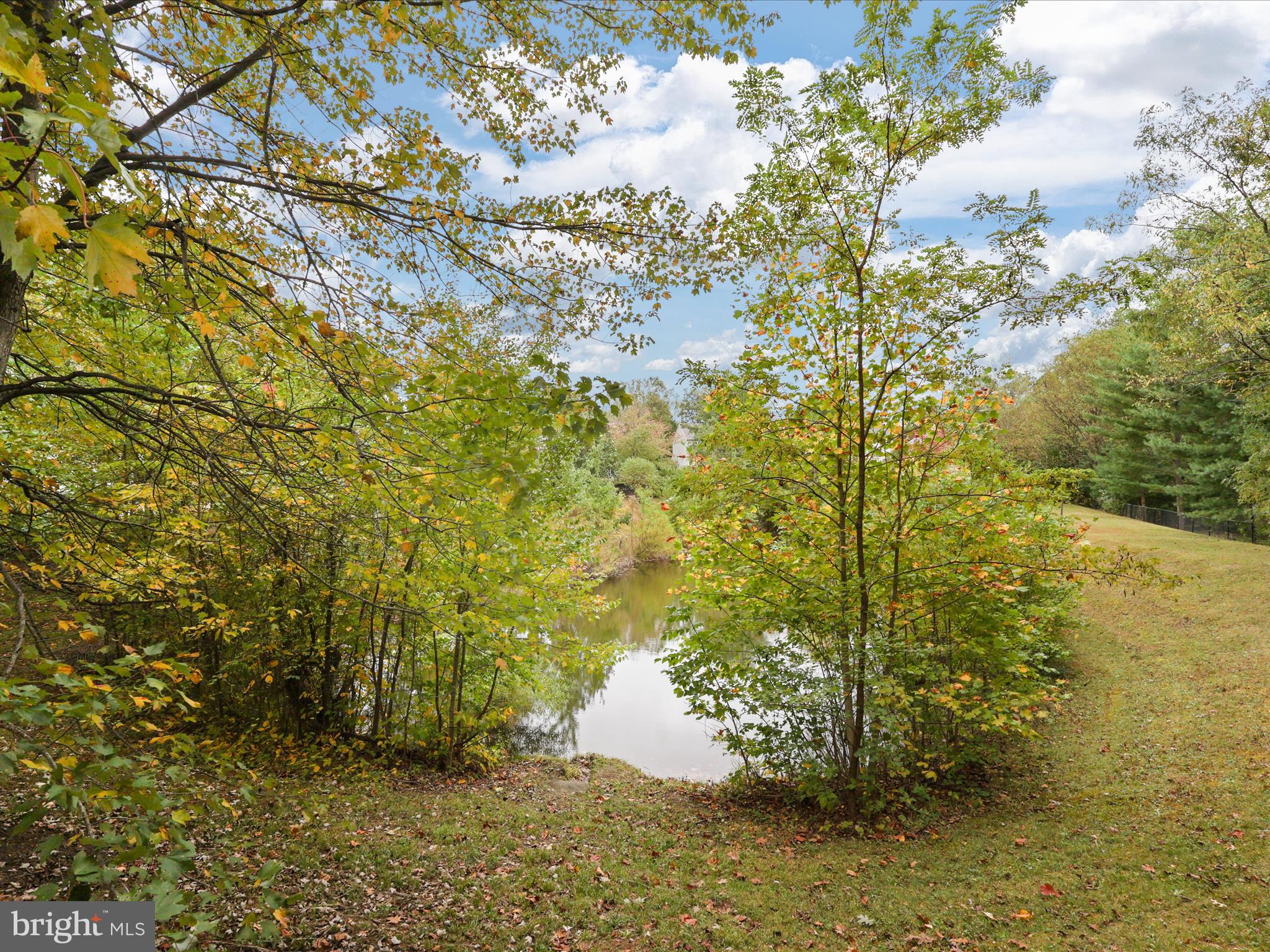 RIDGEFIELD OAKS - Residential