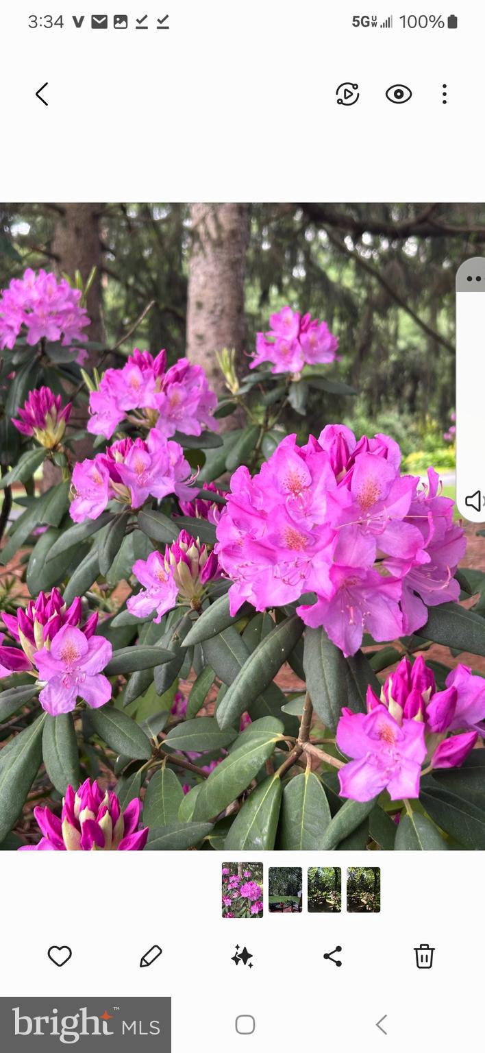 LANCASTER ESTATES - Residential