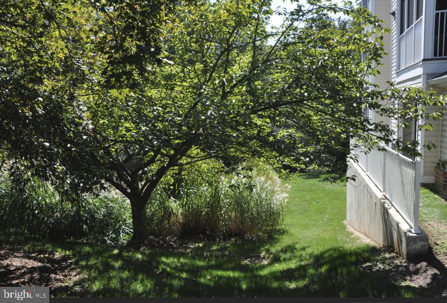 AMBER RIDGE AT MILESTONE - Residential Lease