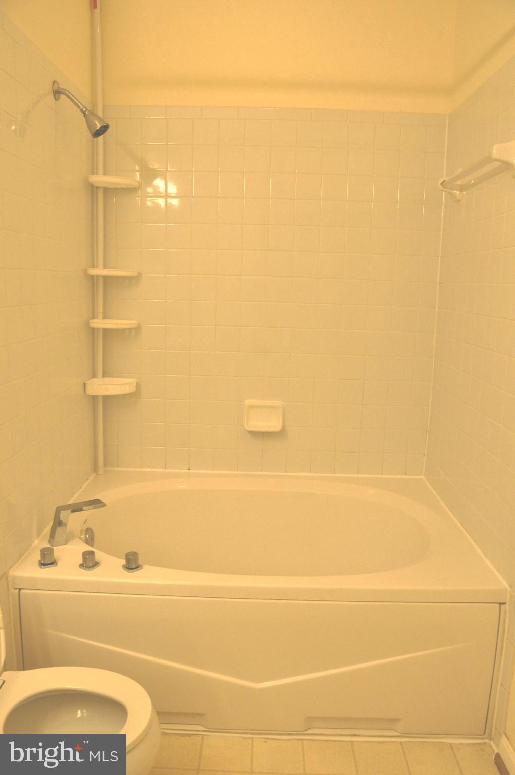 AMBER RIDGE AT MILESTONE - Residential Lease