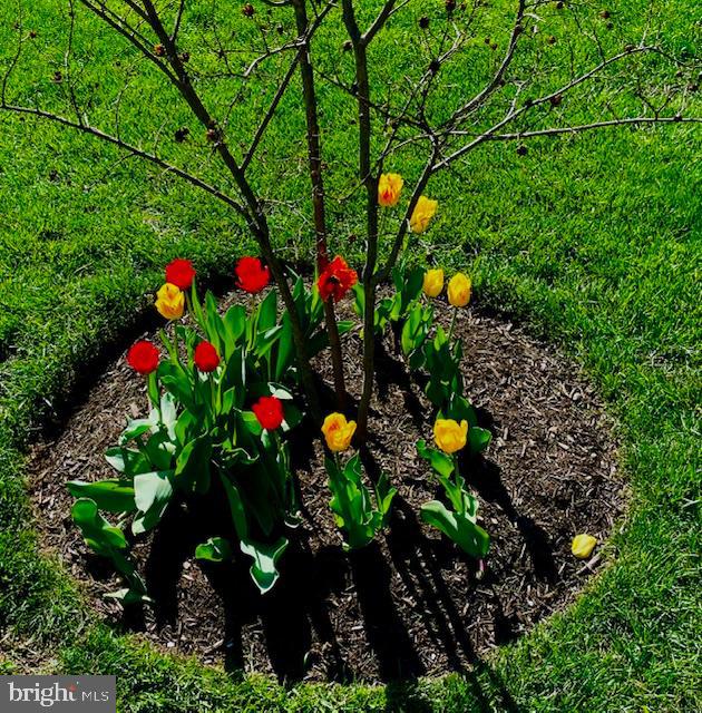 CLEAR SPRINGS ESTATES - Residential