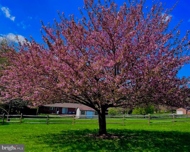 CLEAR SPRINGS ESTATES - Residential