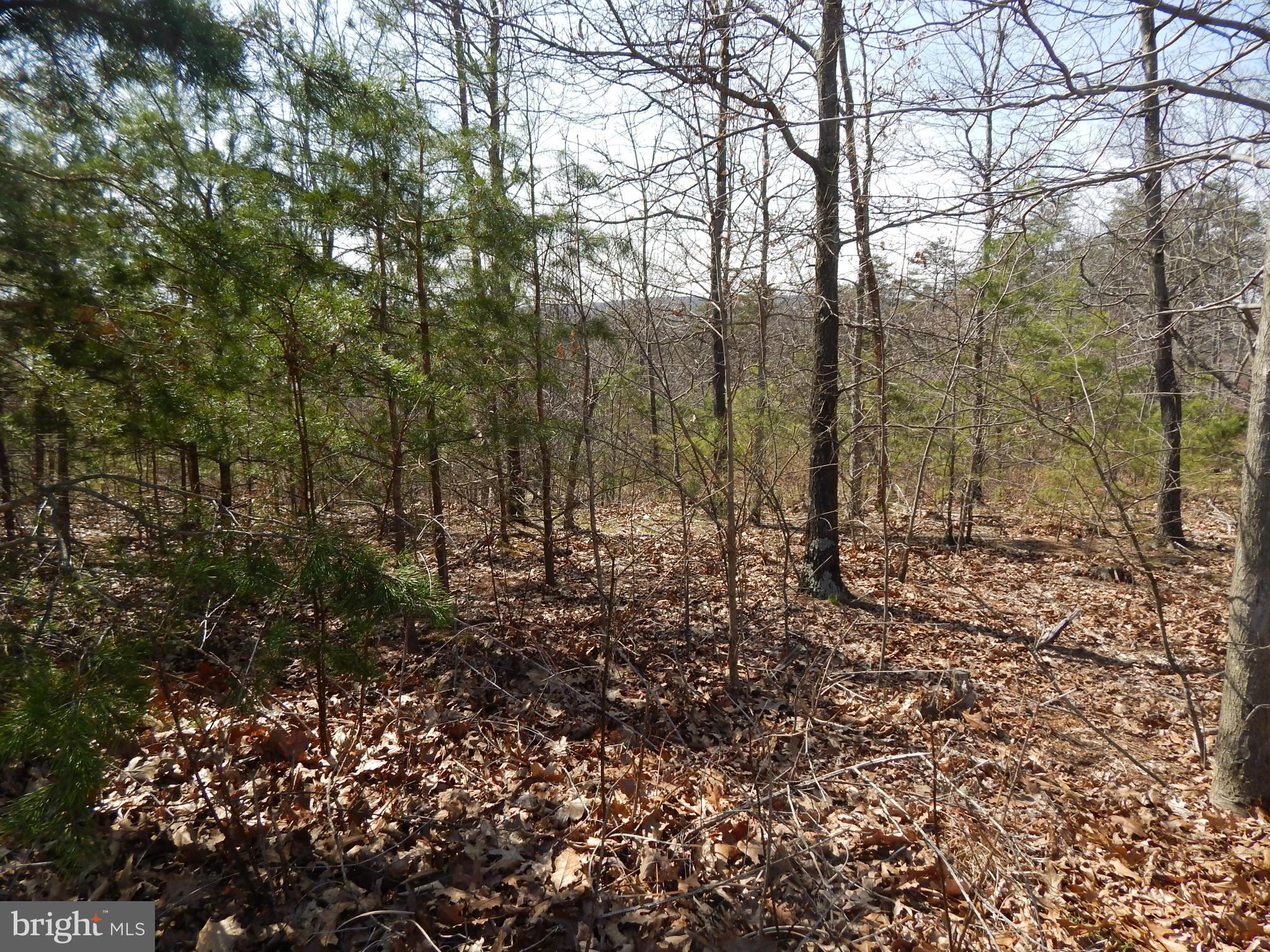 CACAPON SOUTH - Land