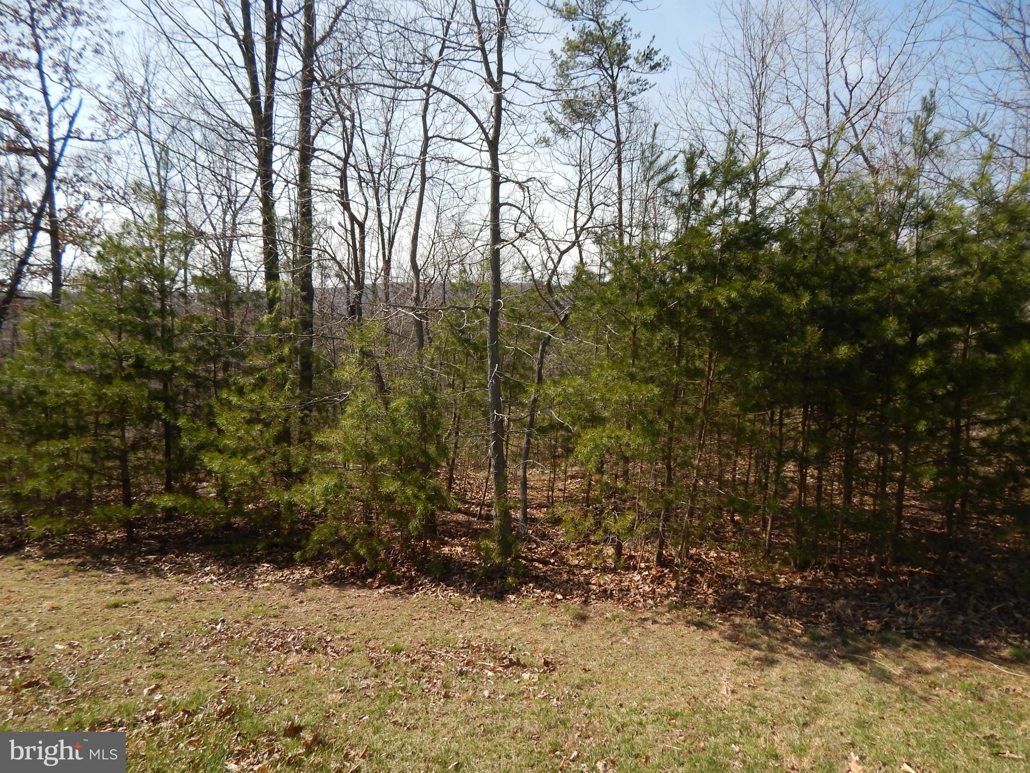 CACAPON SOUTH - Land