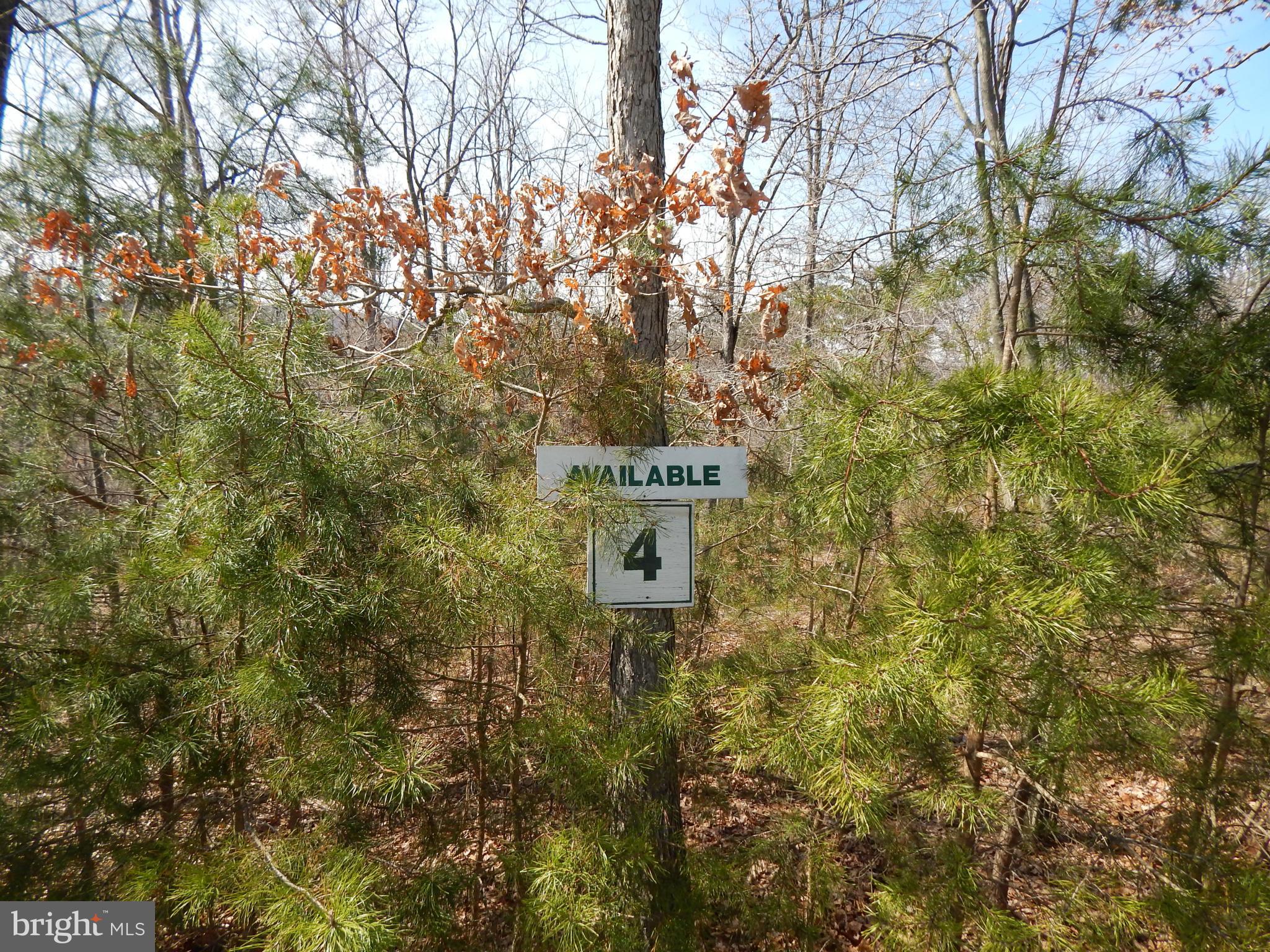 CACAPON SOUTH - Land