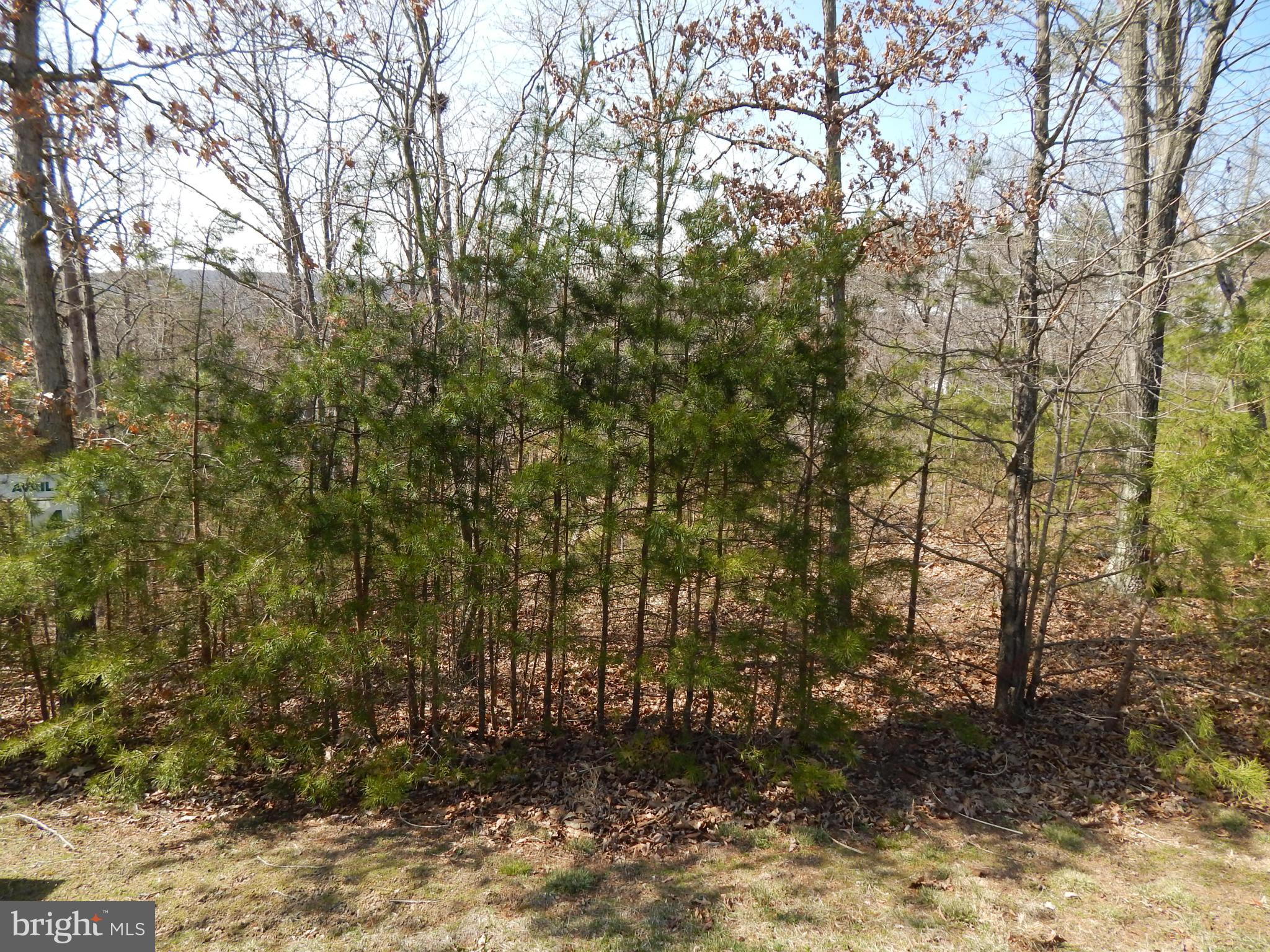 CACAPON SOUTH - Land