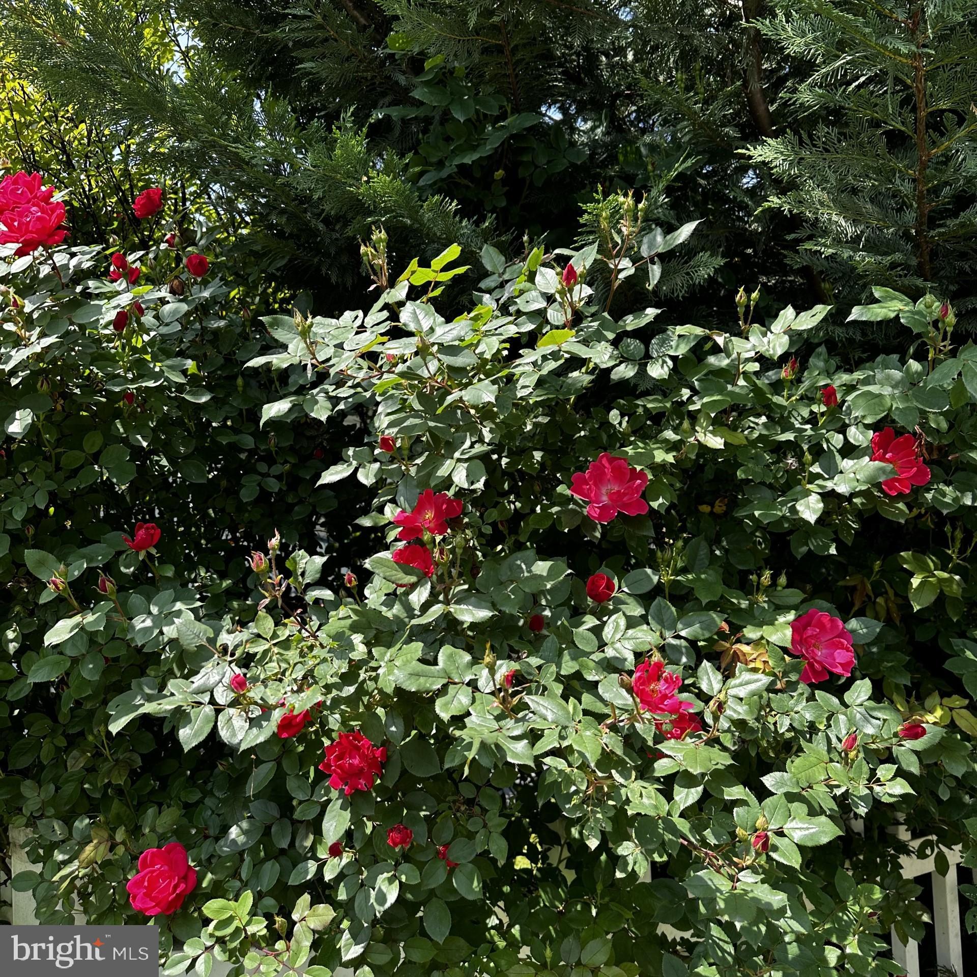 RIVER BEND - Residential