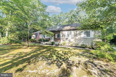 1 WOODGATE DRIVE SHAMONG NJ 08088