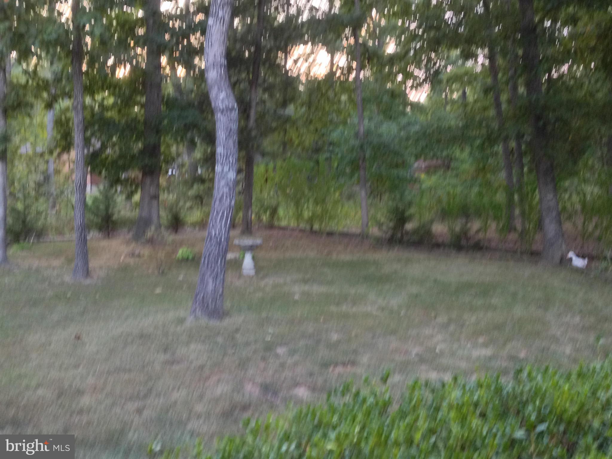 LAKE OF THE WOODS - Residential